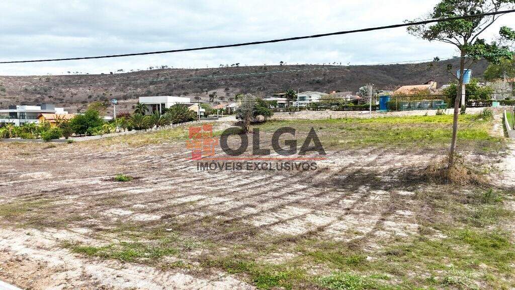 Terreno à venda no bairro Novo Gravatá: 