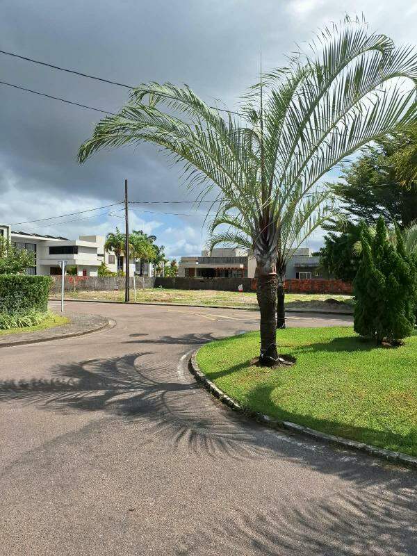 Lote em condomínio à venda em Amazônia Park, Cabedelo - SB Imóveis: 