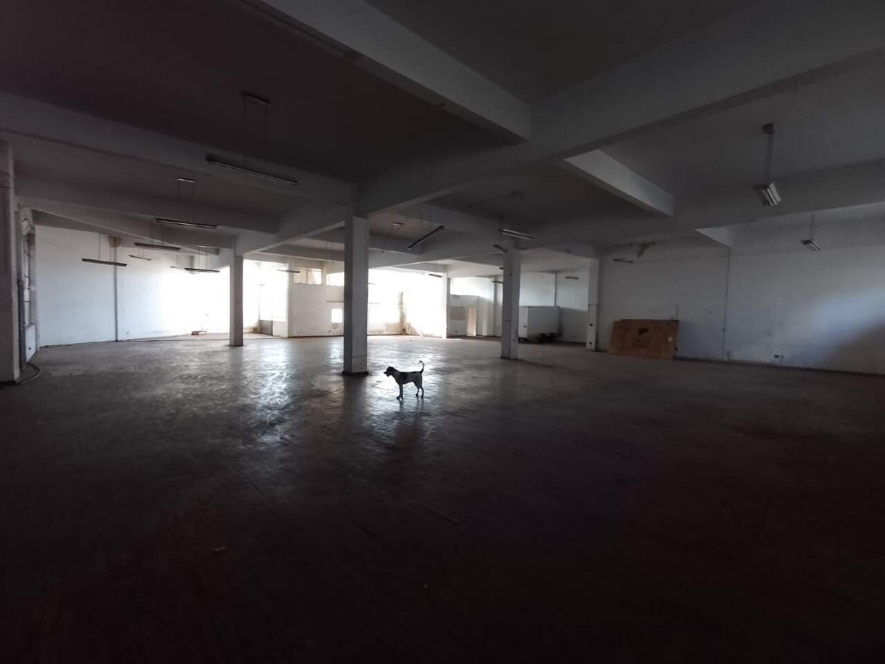 Andar corrido para aluguel no São João Batista: 