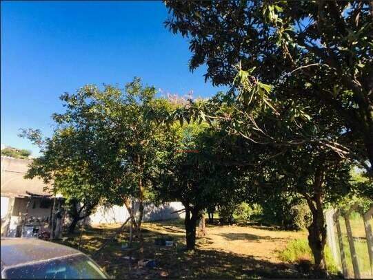 Lote / Área / Terreno à venda no Fonte Grande: 