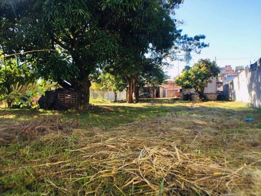 Lote / Área / Terreno à venda no Fonte Grande: 