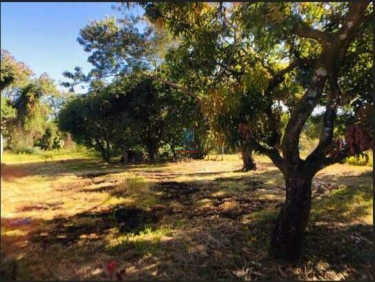 Lote / Área / Terreno à venda no Fonte Grande: 