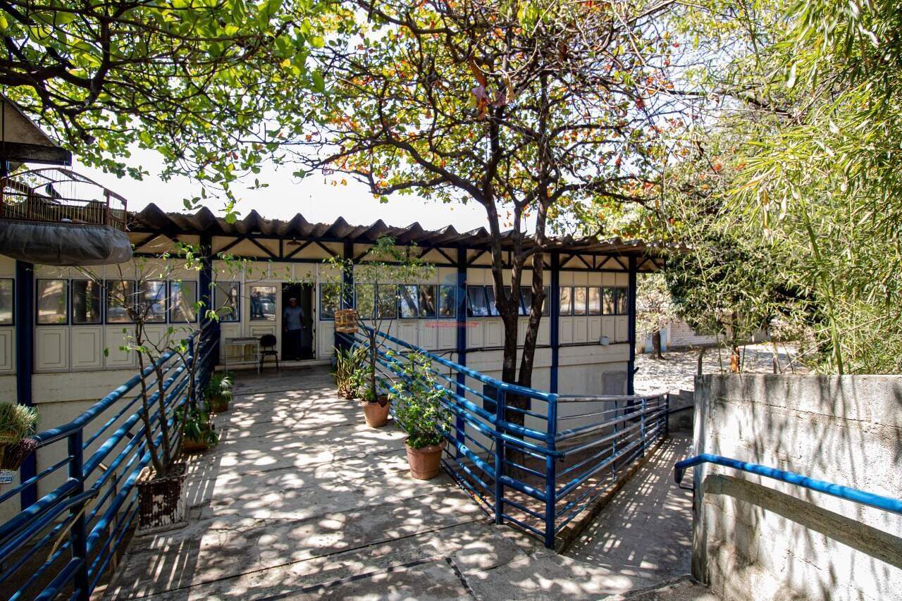 Galpão à venda no Cinco: 