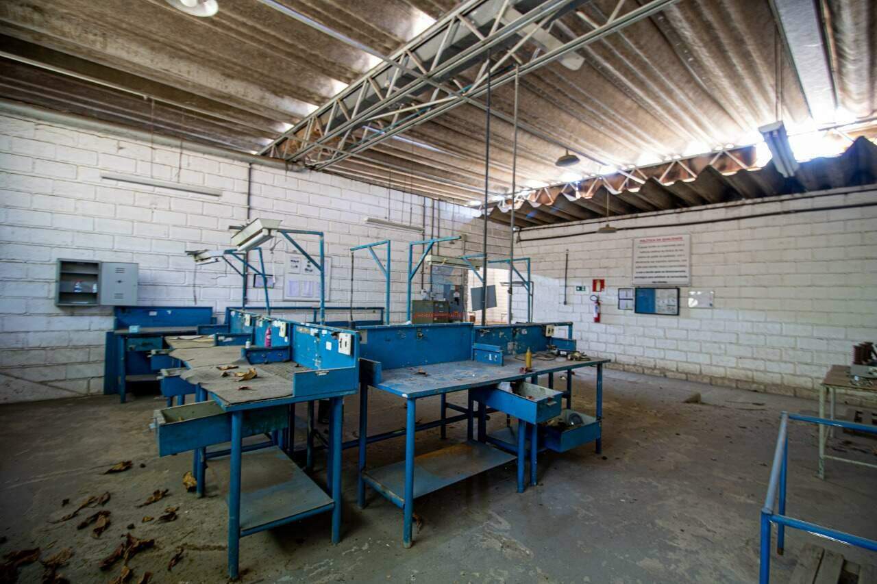 Galpão à venda no Cinco: 