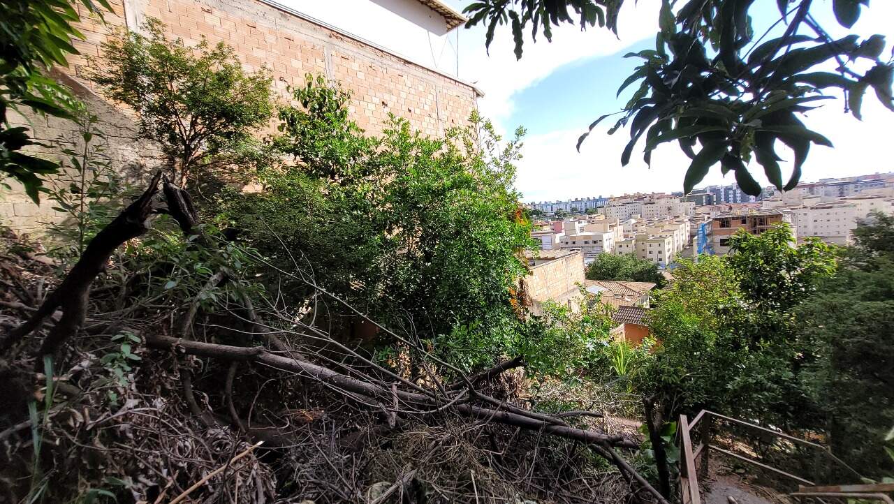 Lote / Área / Terreno à venda no Jardim Riacho das Pedras: 