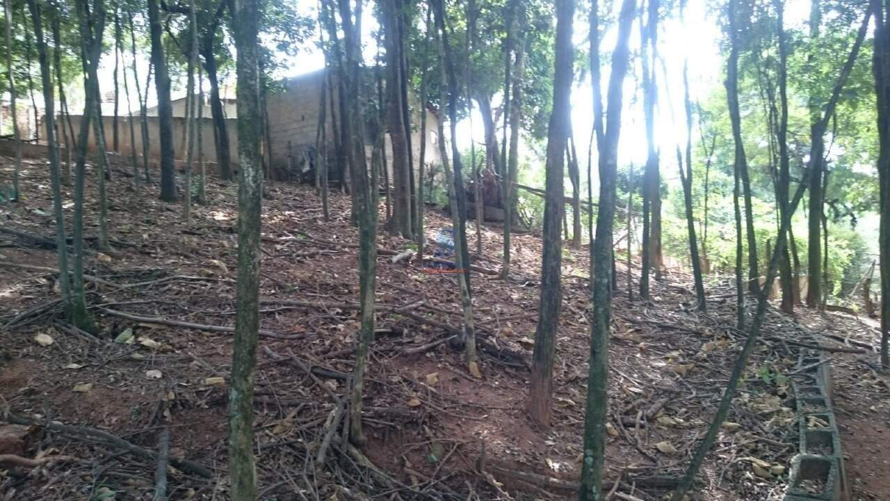 Lote / Área / Terreno à venda no Chácara Cotia: 