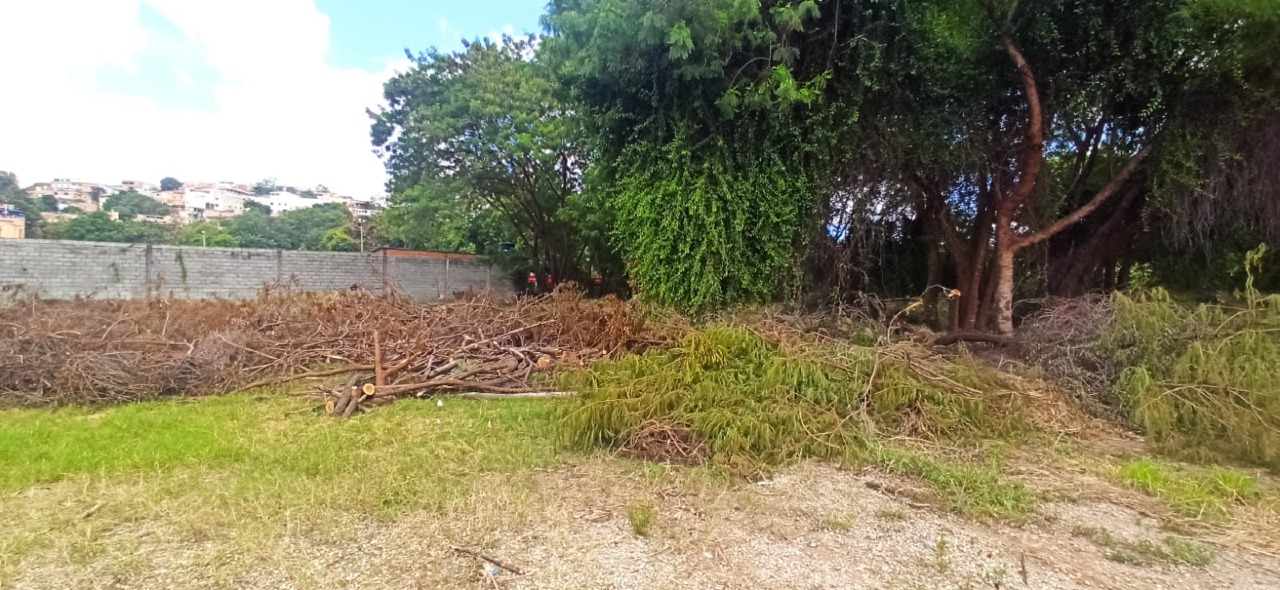 Lote / Área / Terreno à venda no Fonte Grande: 