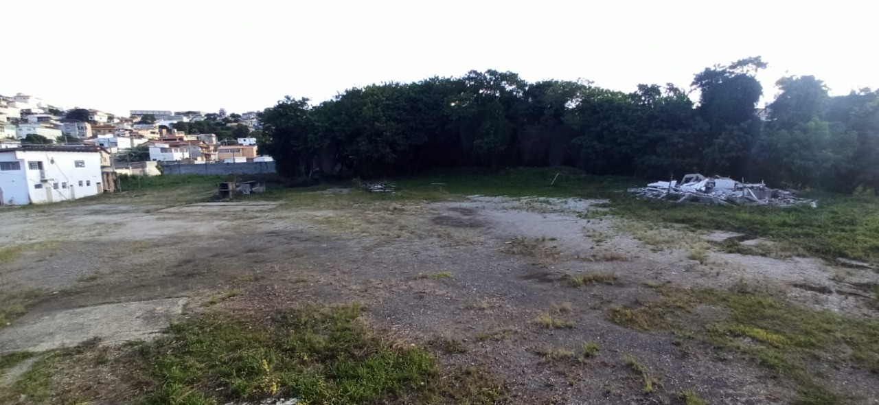 Lote / Área / Terreno à venda no Fonte Grande: 