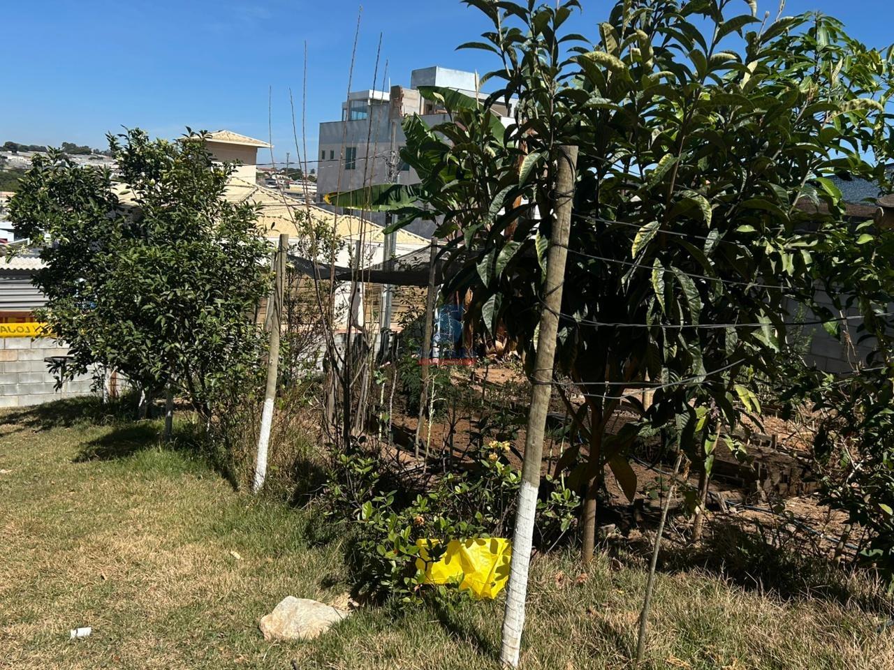 Lote / Área / Terreno à venda no Cabral: 