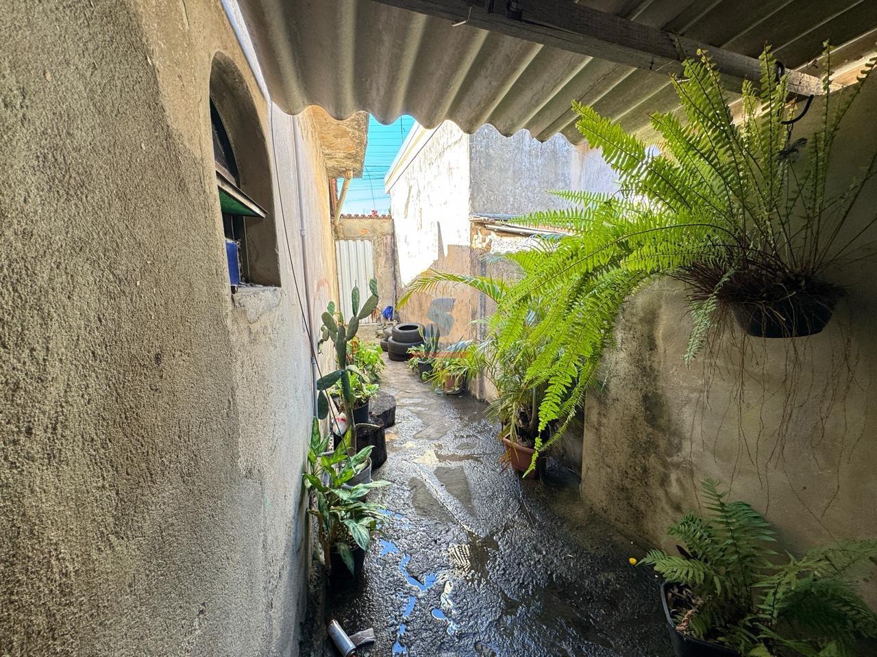 Lote / Área / Terreno à venda no Riacho das Pedras: 