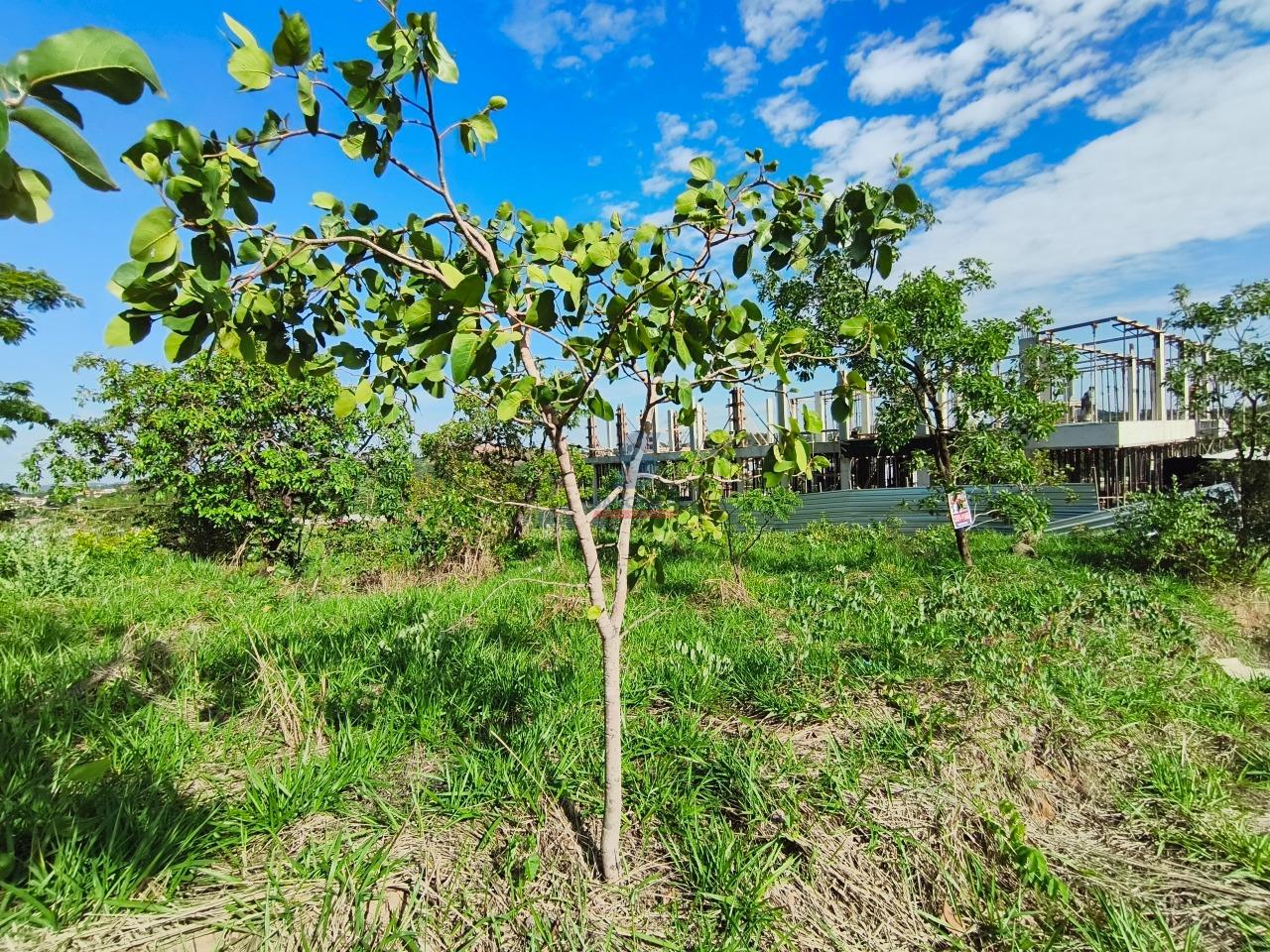 Lote / Área / Terreno à venda no Estância do Lago: 