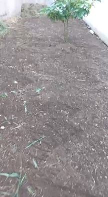 Terreno à venda no Parque Marajoara: 