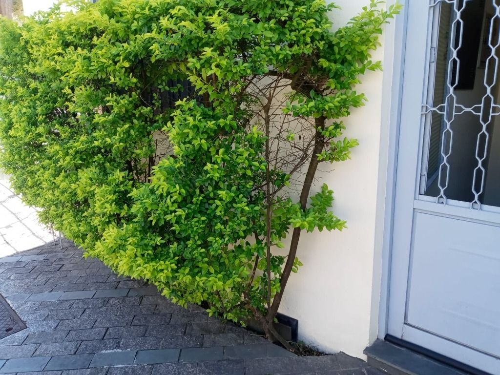 Andar Corporativo à venda no Matriz: 