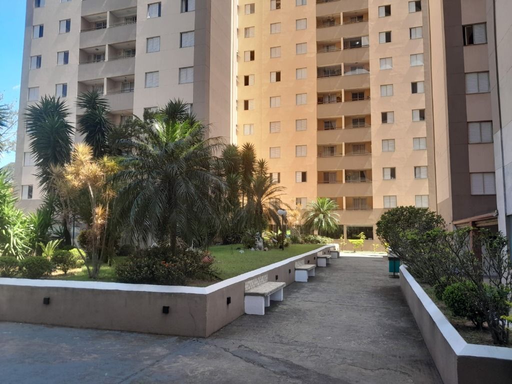 Apartamento à venda no Vila Camilópolis: 