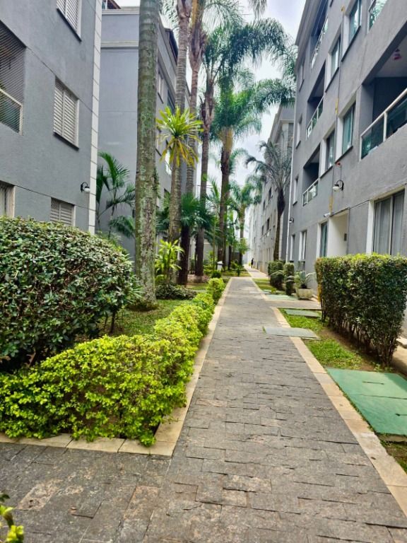 Apartamento à venda no Vila São Pedro: 