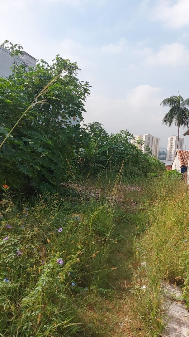 Terreno para aluguel no Vila Curuçá: 