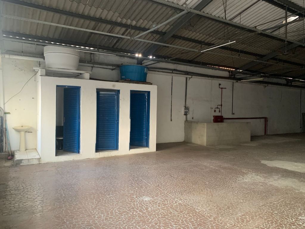 Galpão para aluguel no Santa Teresinha: 