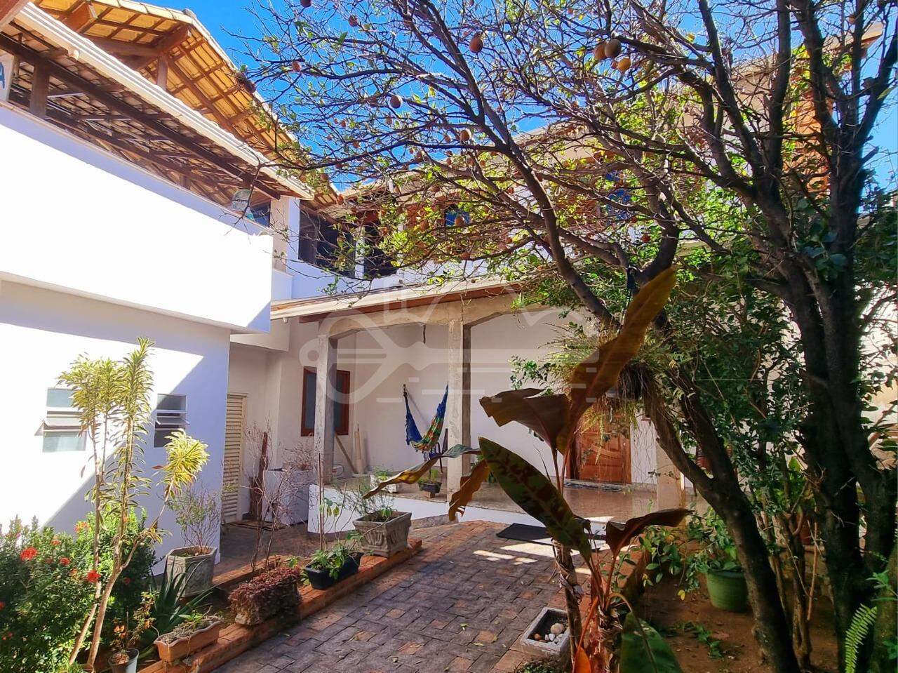 Foto 41