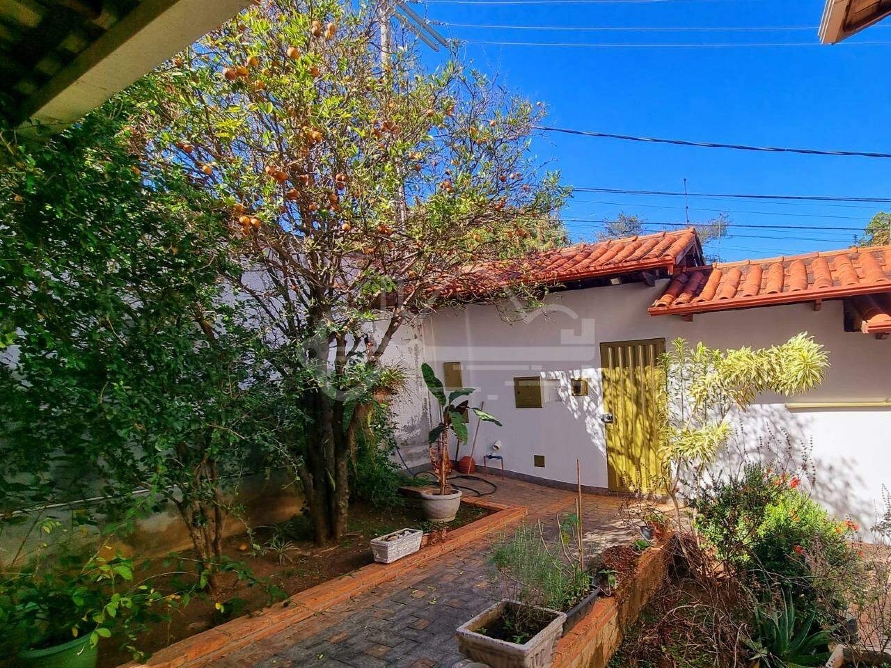 Foto 42