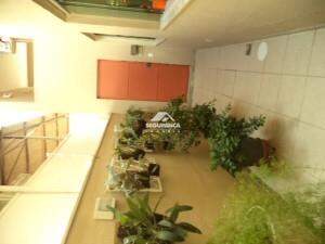 Casa à venda no Ilha dos Araújos: 