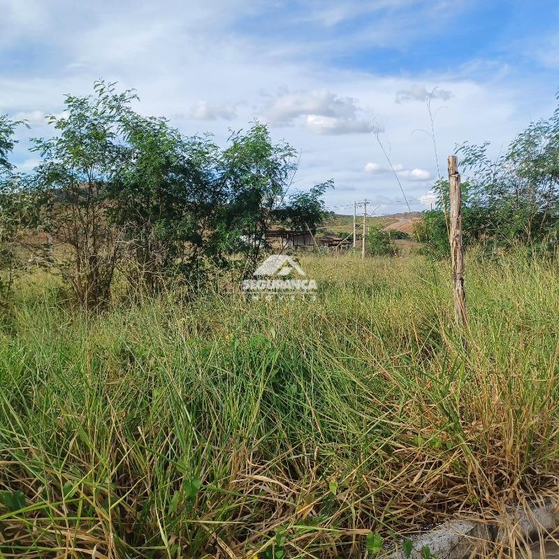 Lote à venda no OURO VERDE: 