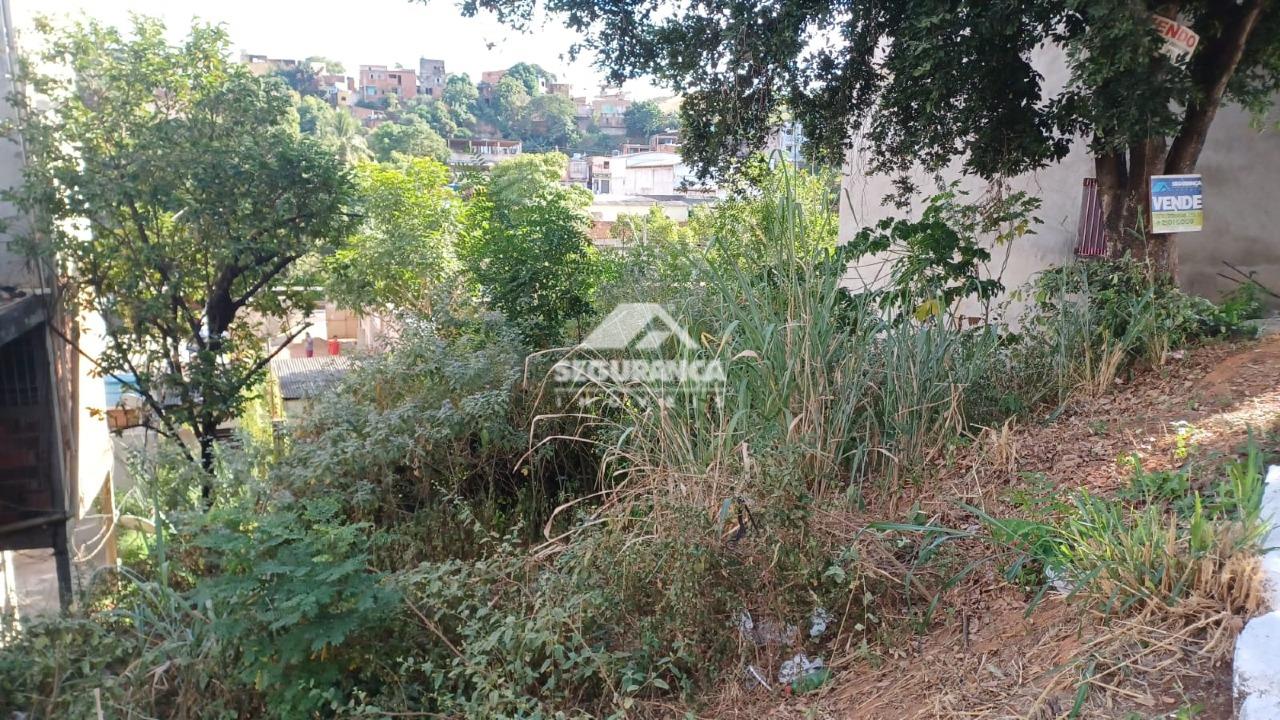 Lote à venda no ALTINOPOLIS: 