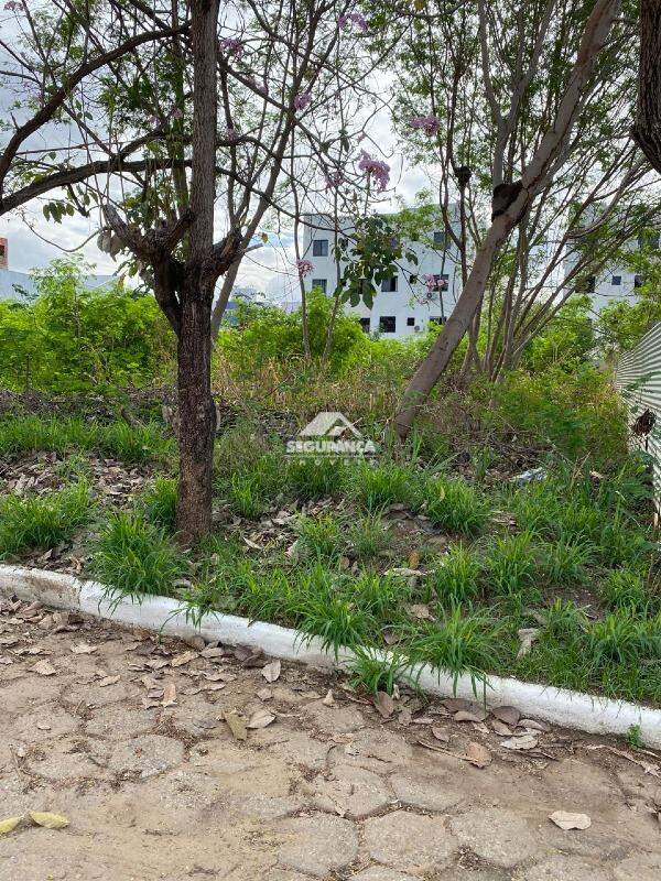 Lote à venda no SANTOS DUMONT: 