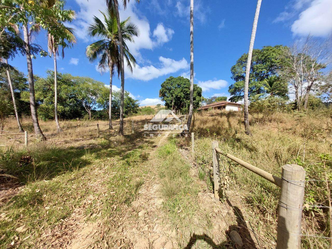 Sítio à venda no JACARANDÁ : CASA COLONO