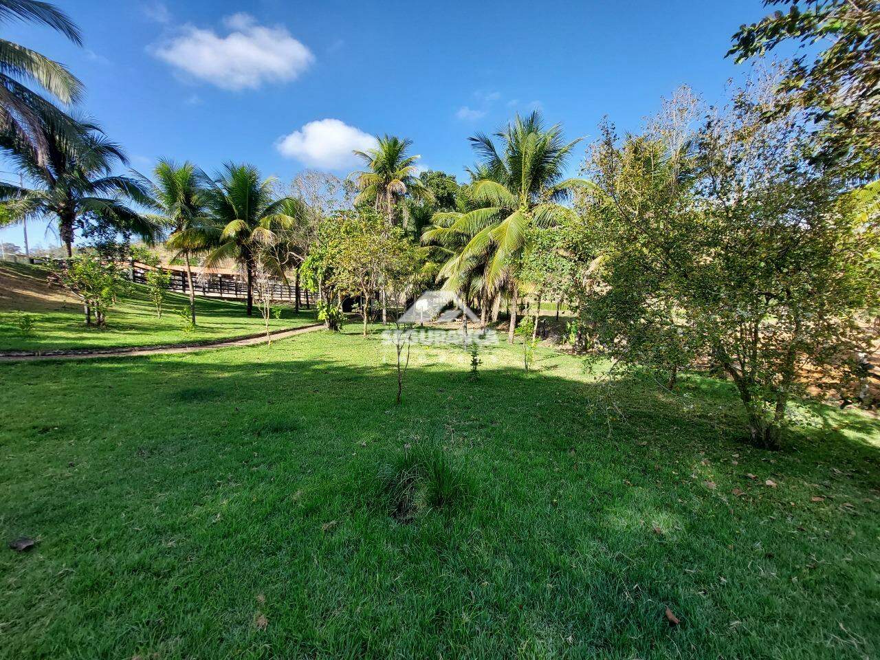 Sítio à venda no JACARANDÁ : POMAR