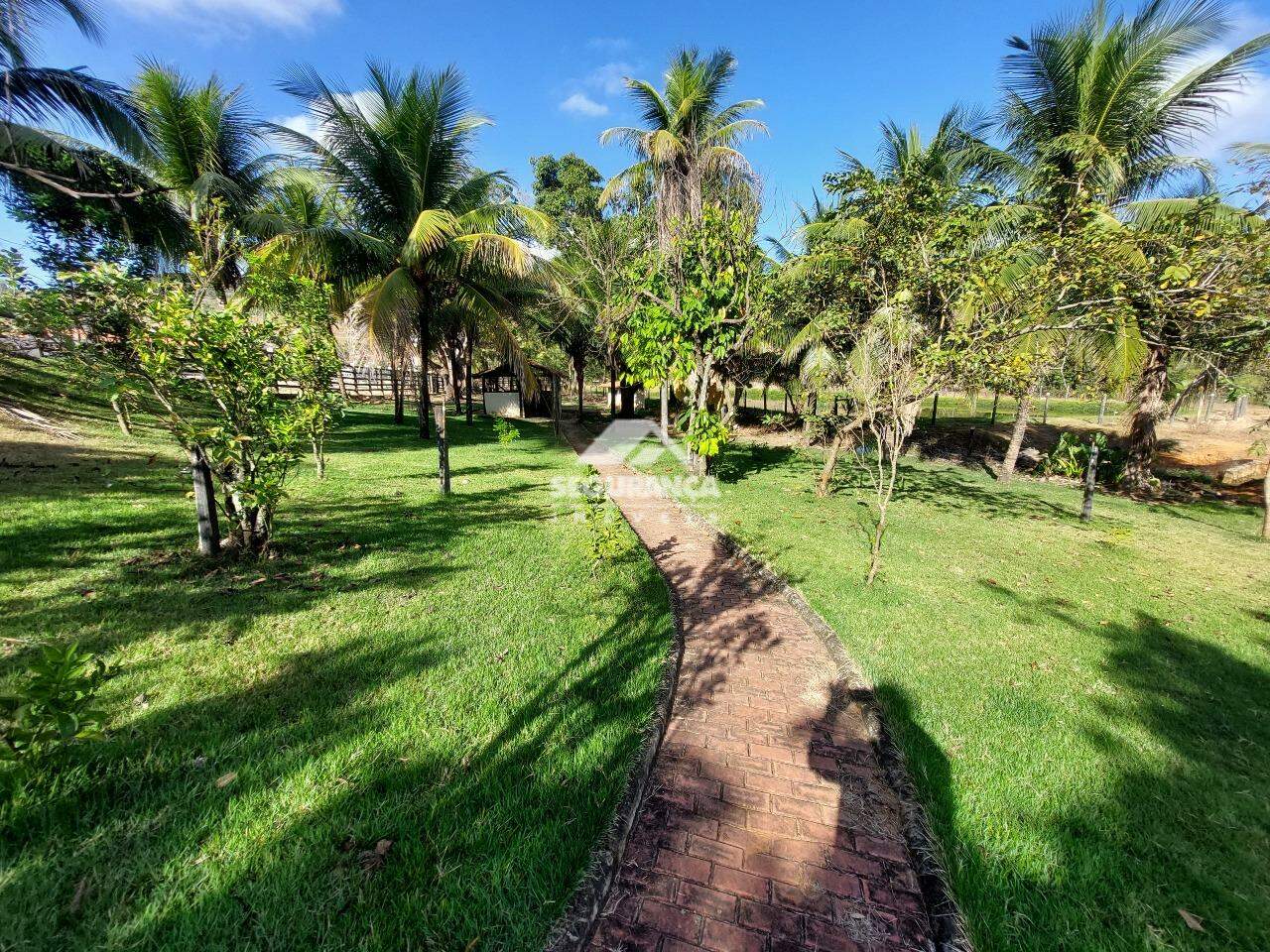 Sítio à venda no JACARANDÁ : POMAR