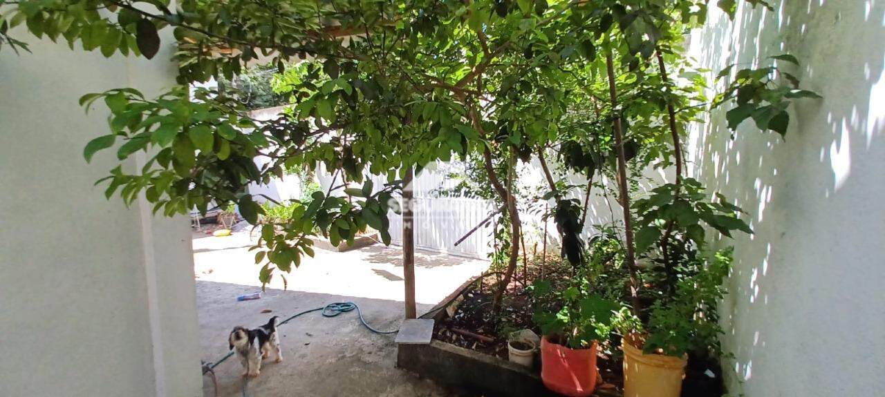 Casa à venda no Ilha dos Araújos: 