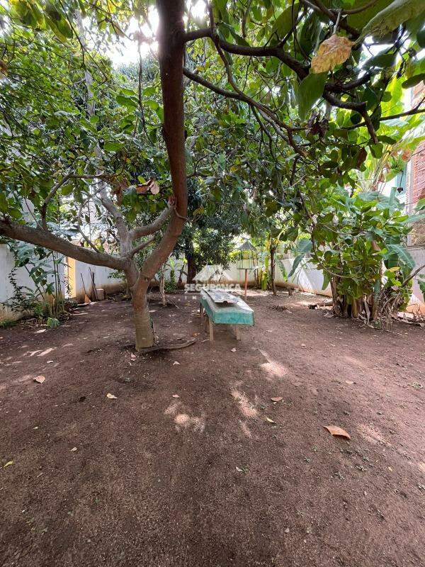 Casa à venda no Ilha dos Araújos: 