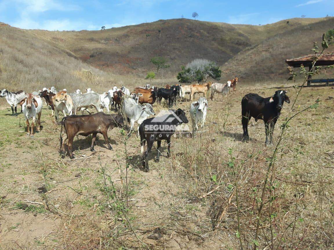 Fazenda à venda no ZONA RUAL: