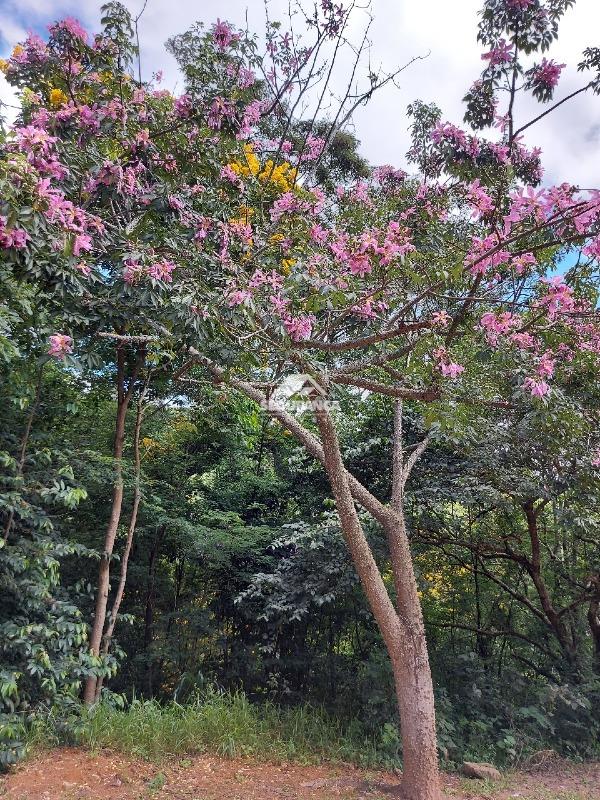 Lote à venda no IBITURUNA: 