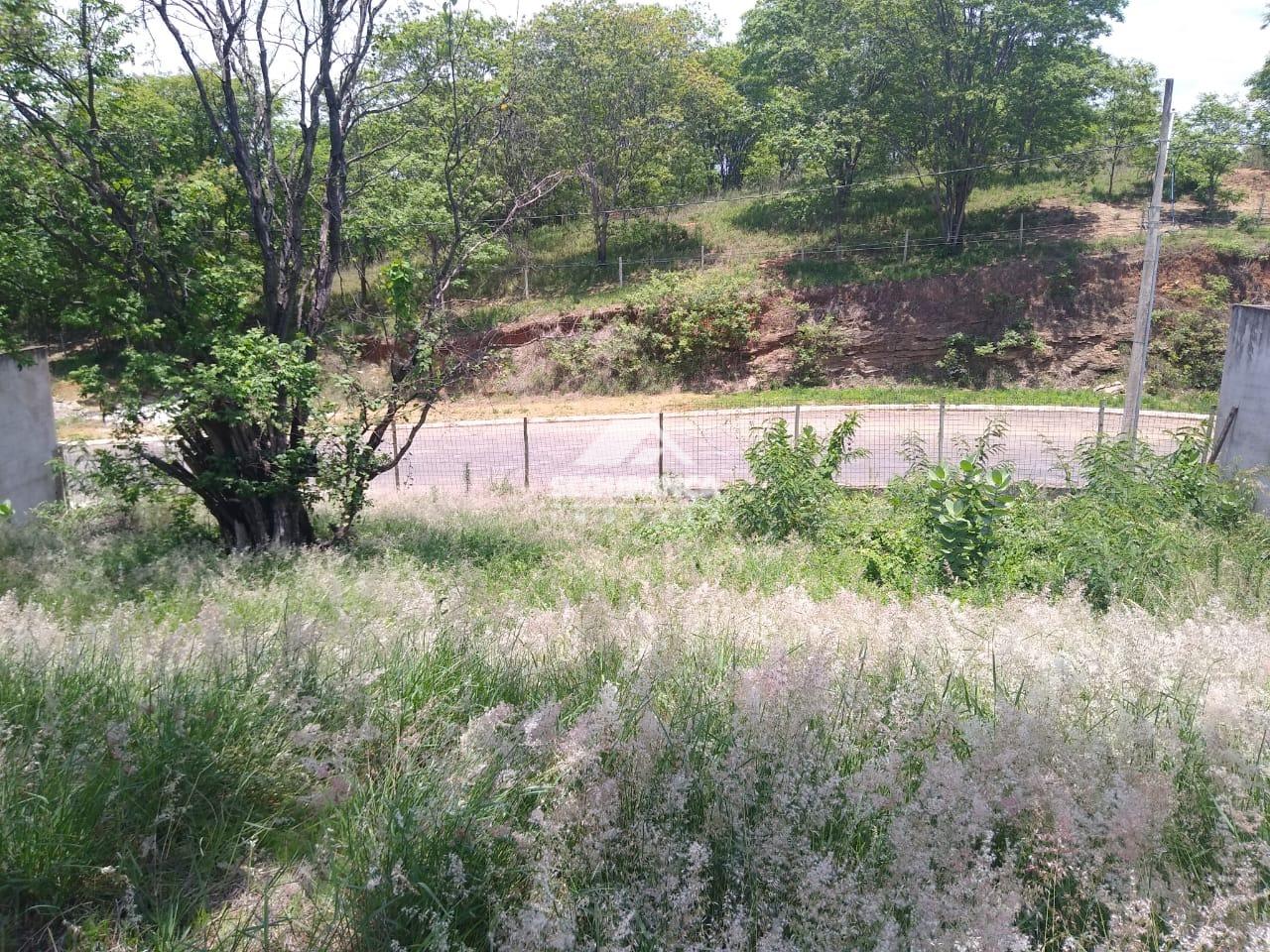 Lote à venda no BELVEDERE: 