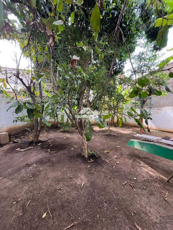 Lote à venda no Ilha dos Araújos:
