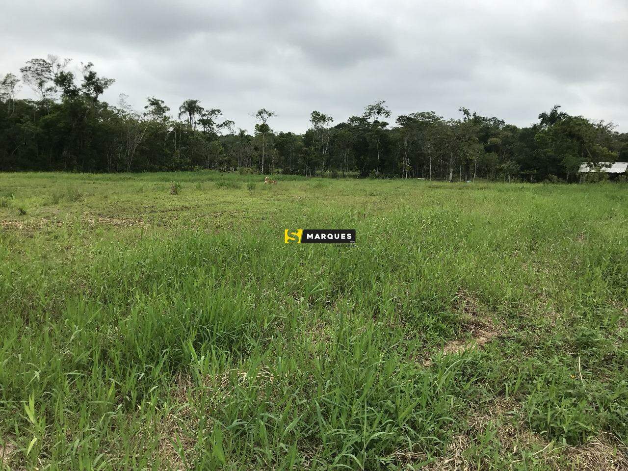 Fazenda à venda com 2 quartos, 100m² - Foto 15