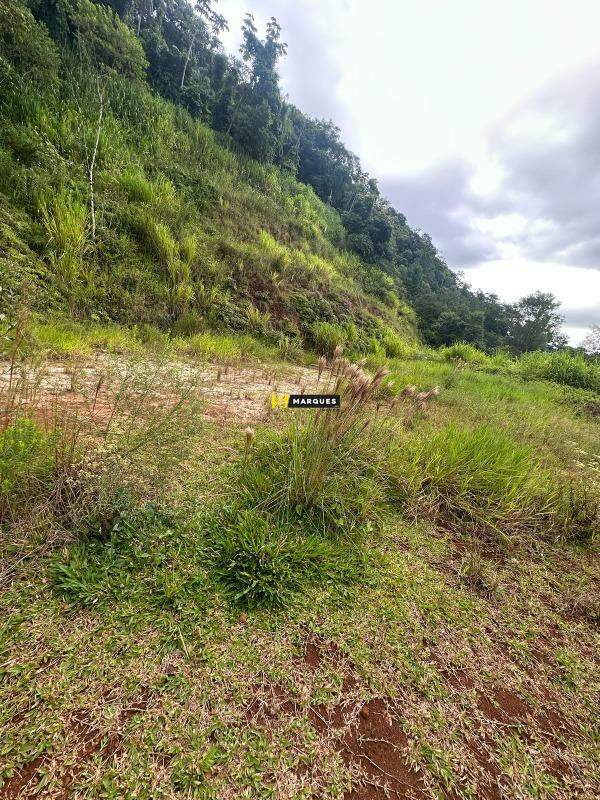 Lote/Terreno de 594m² no bairro Jardim Sofia, em Joinville | Eu Corretor