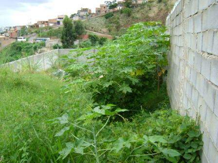 Lote à venda no Buritis: 