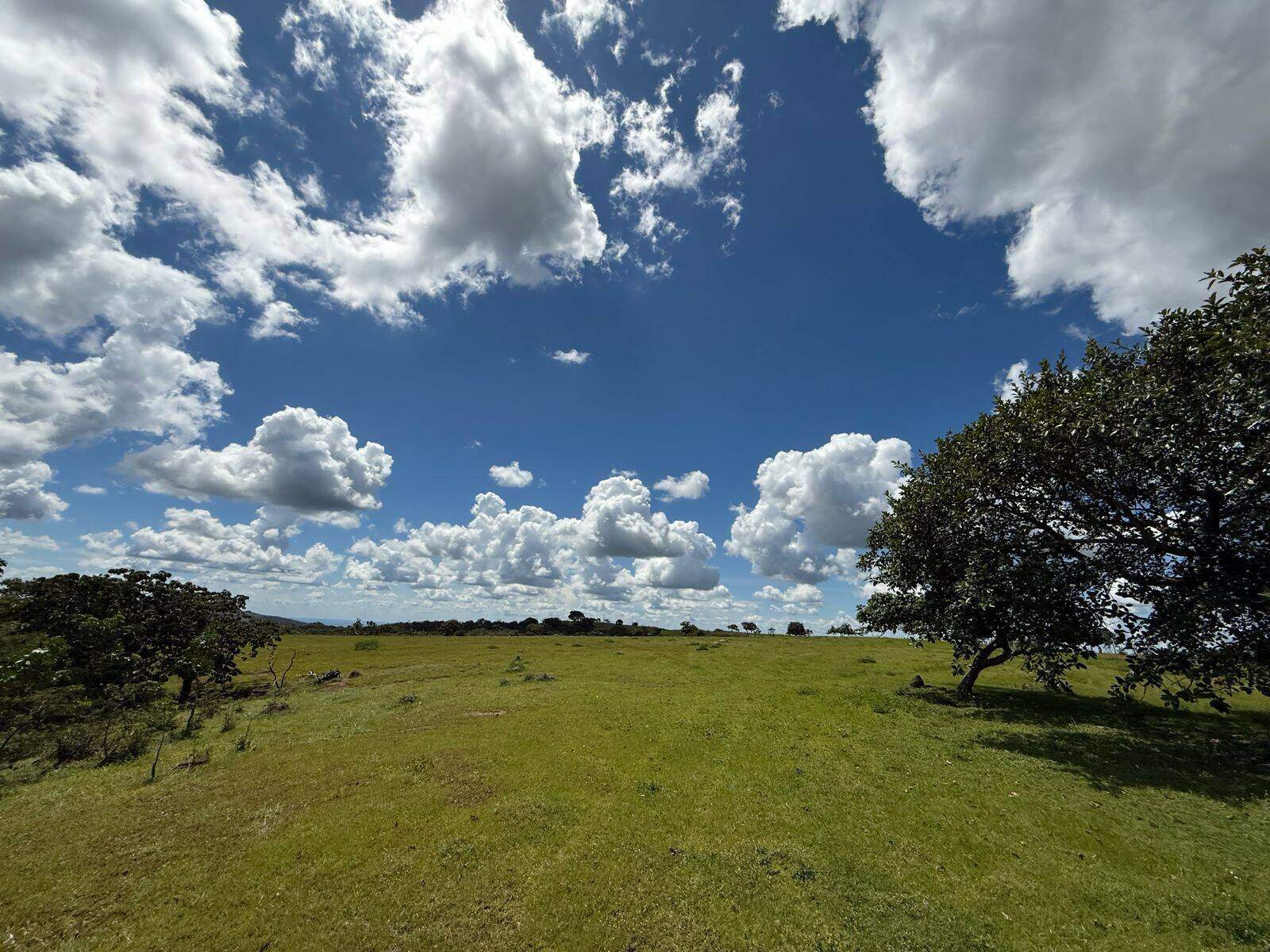 Rural à venda no Não Informado: 