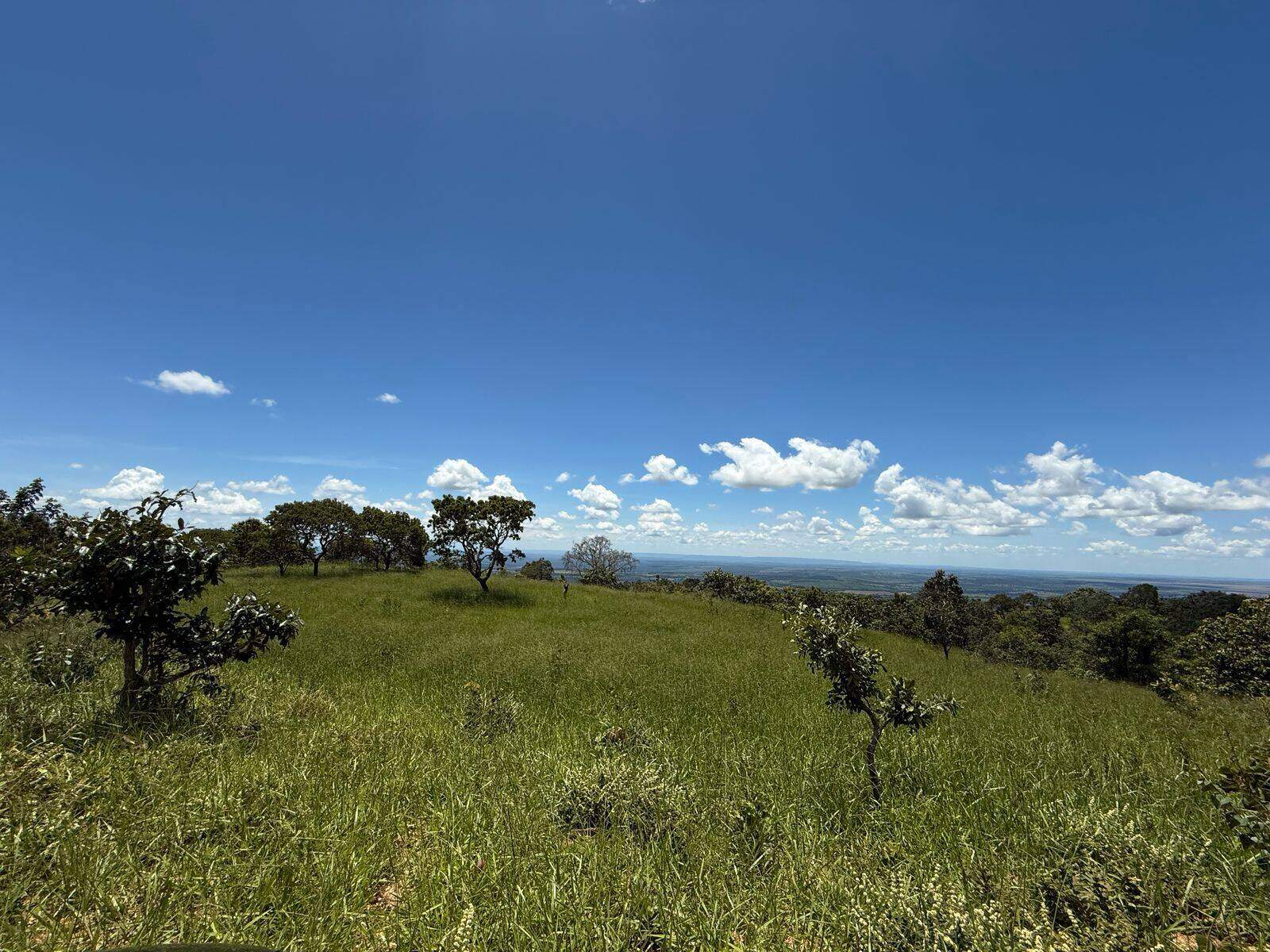 Rural à venda no Não Informado: 