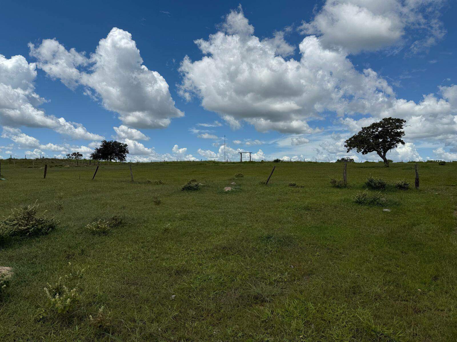 Rural à venda no Não Informado: 