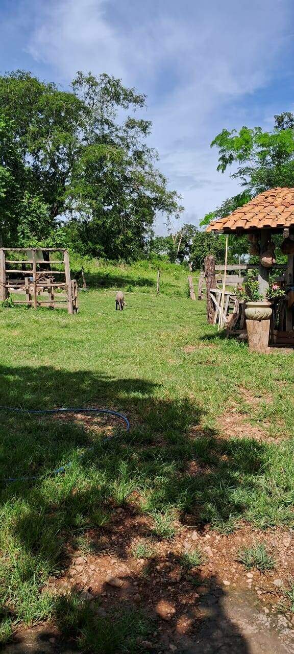 Rural à venda no Não Informado: 