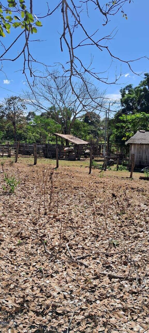 Rural à venda no Não Informado: 