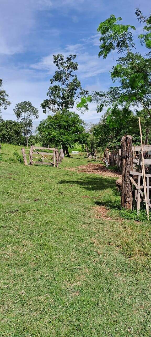 Rural à venda no Não Informado: 