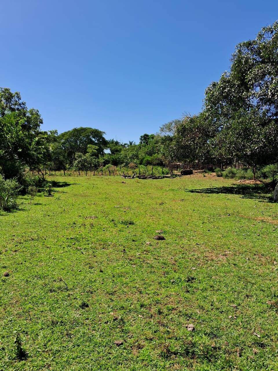 Rural à venda no Não Informado: 