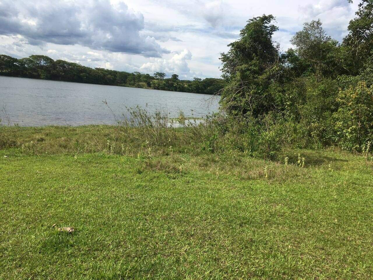 Rural à venda no Zona Rural: 