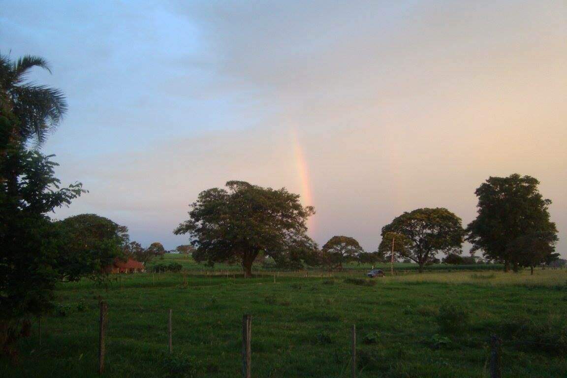 Rural à venda no Zona Rural: 
