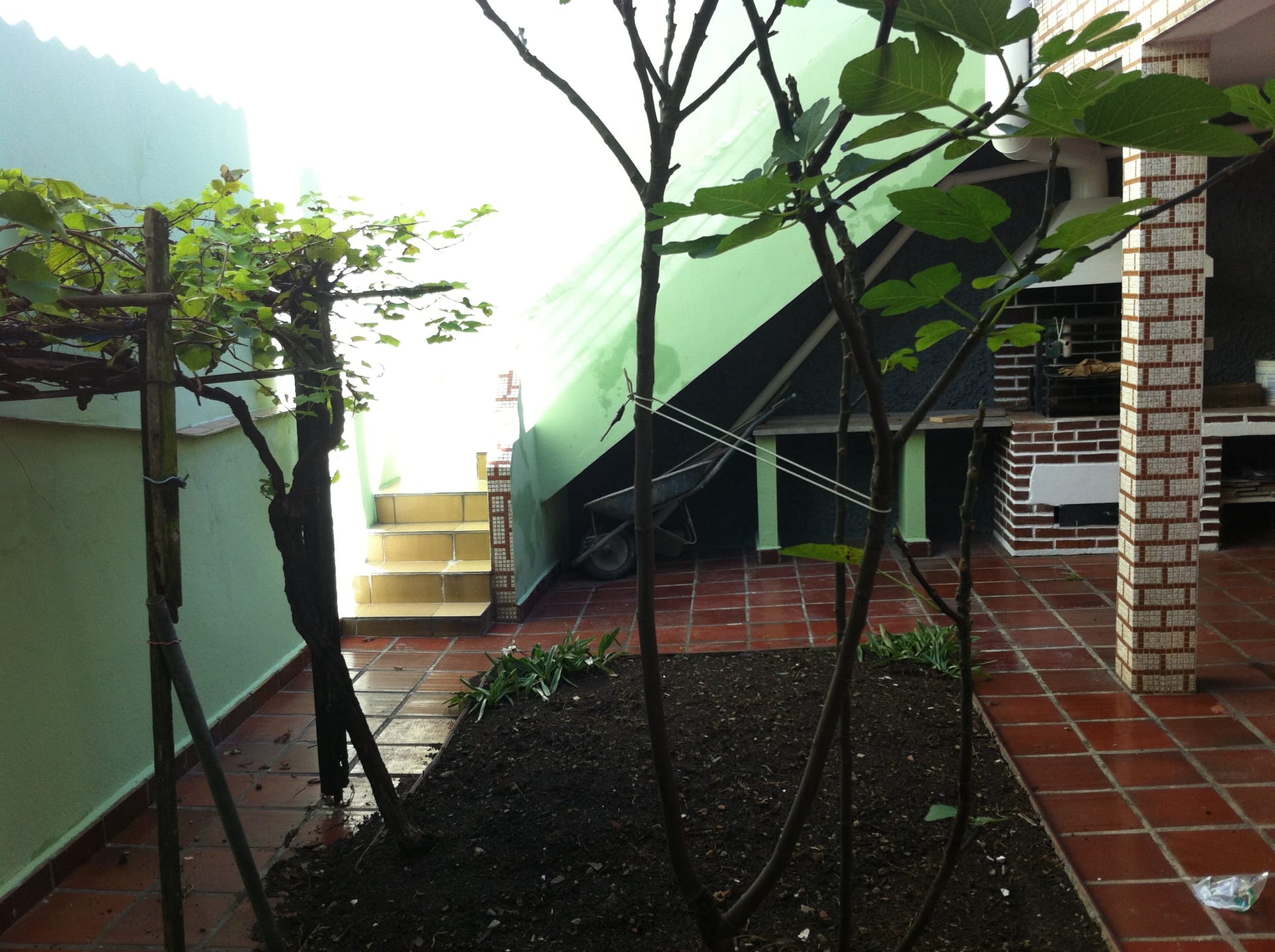 Casa à venda no Jabaquara: area-de-lazer-jpg1716317068280.jpg