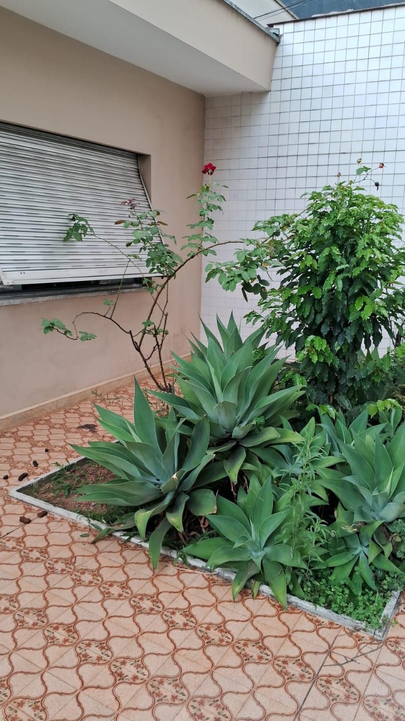 Casa para aluguel no Jabaquara: 22-quintal1711474134207.jpeg